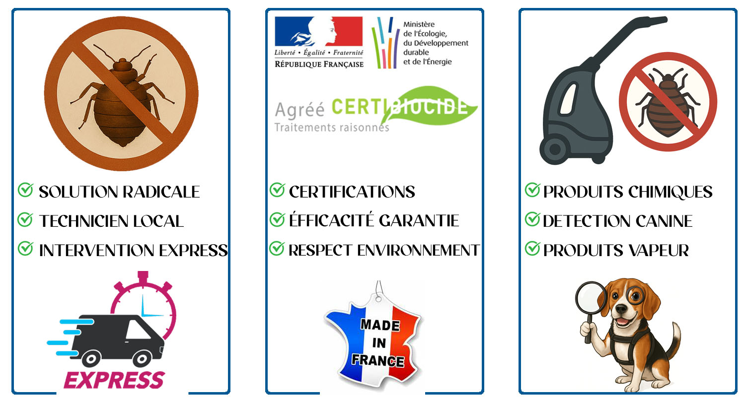 Punaises de Lit Chatou